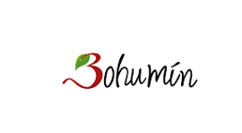 Město Bohumín